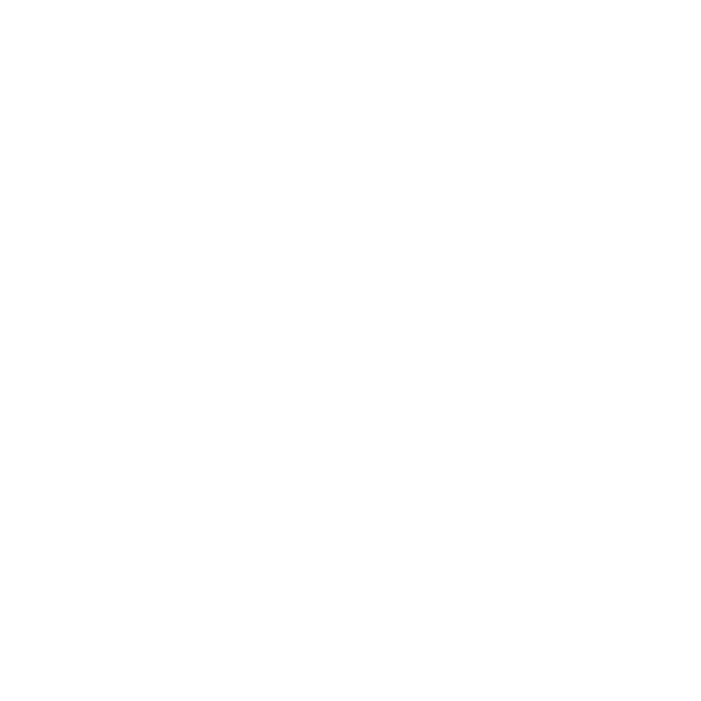 Yngbyibr LLC